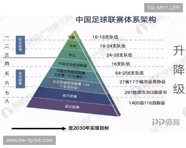 足球金元乱象背后的利益博弈与行业发展困境解析